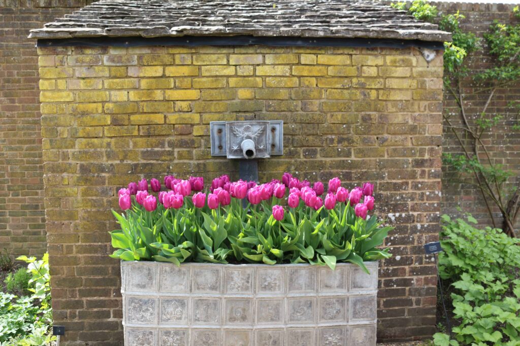 Wakehurst Place Haywards Heath National Trust Review
