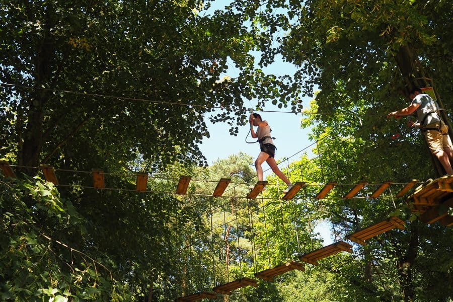 Go Ape Review