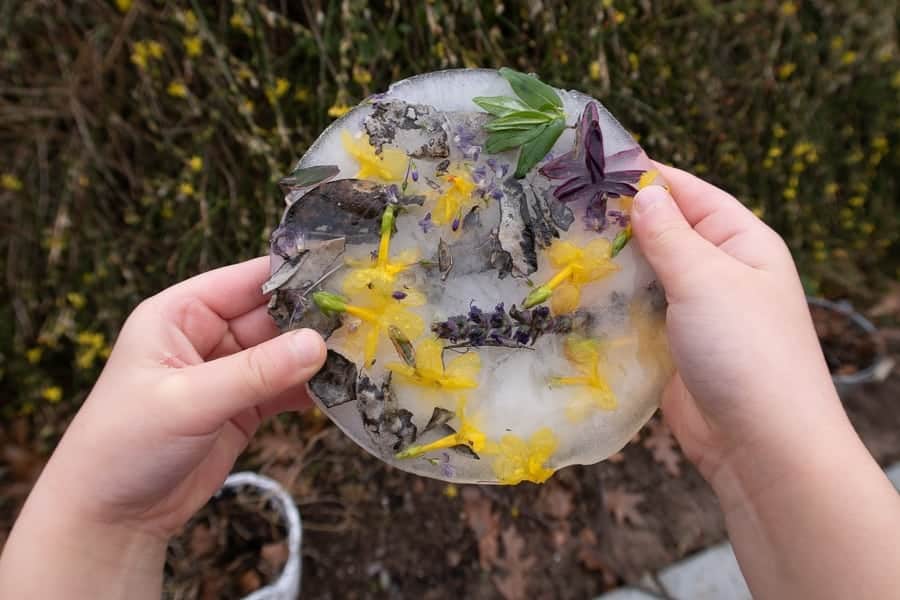 Making Winter Crafts with Natural Items - National Garden Bureau