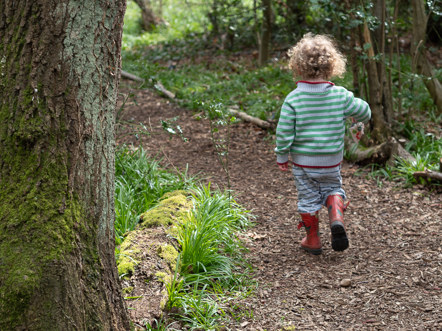 How to Start a Nature Journal with Kids - Thimble and Twig