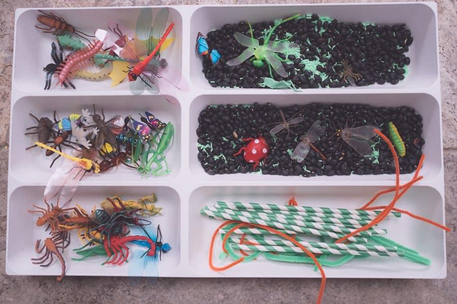 Insect Sensory Play for toddlers