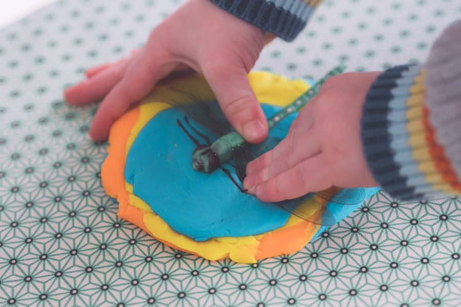 Making Insect Fossils for toddlers