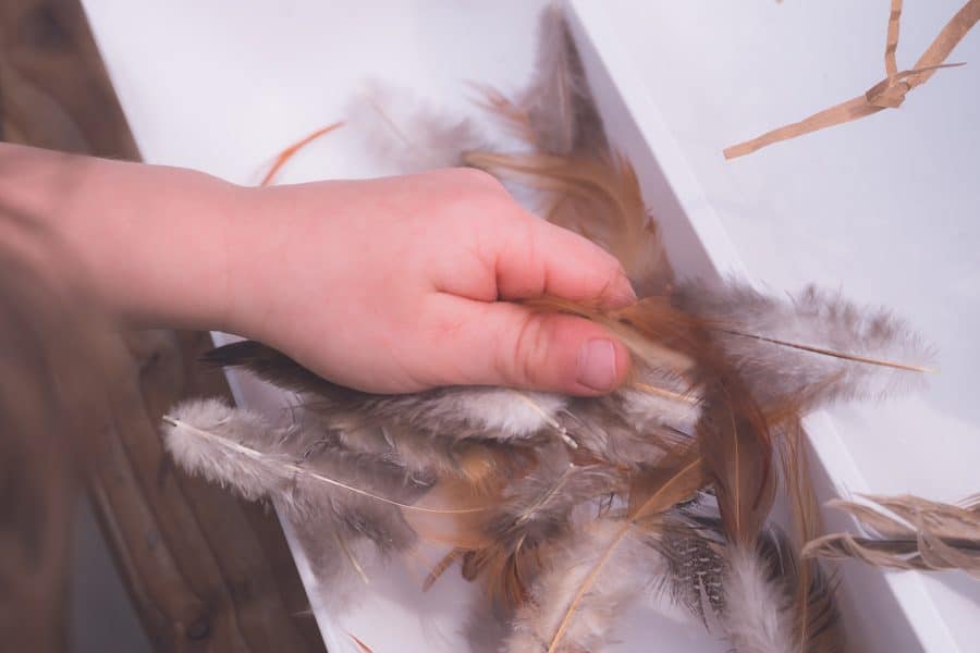 Bird's Nest Sensory Play