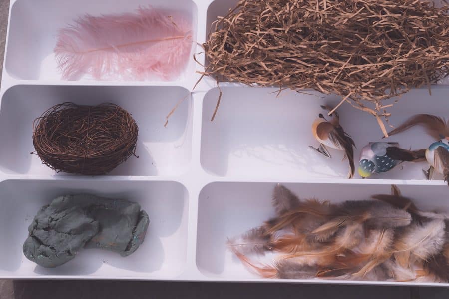 Bird's Nest Sensory Play