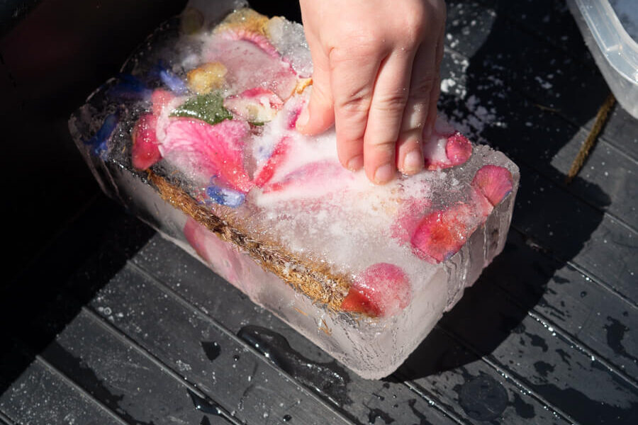 flowers in block of ice