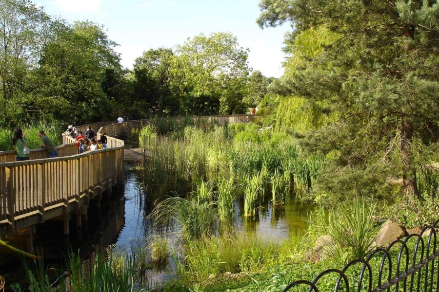 Best Playgrounds for Kids of all ages in South London