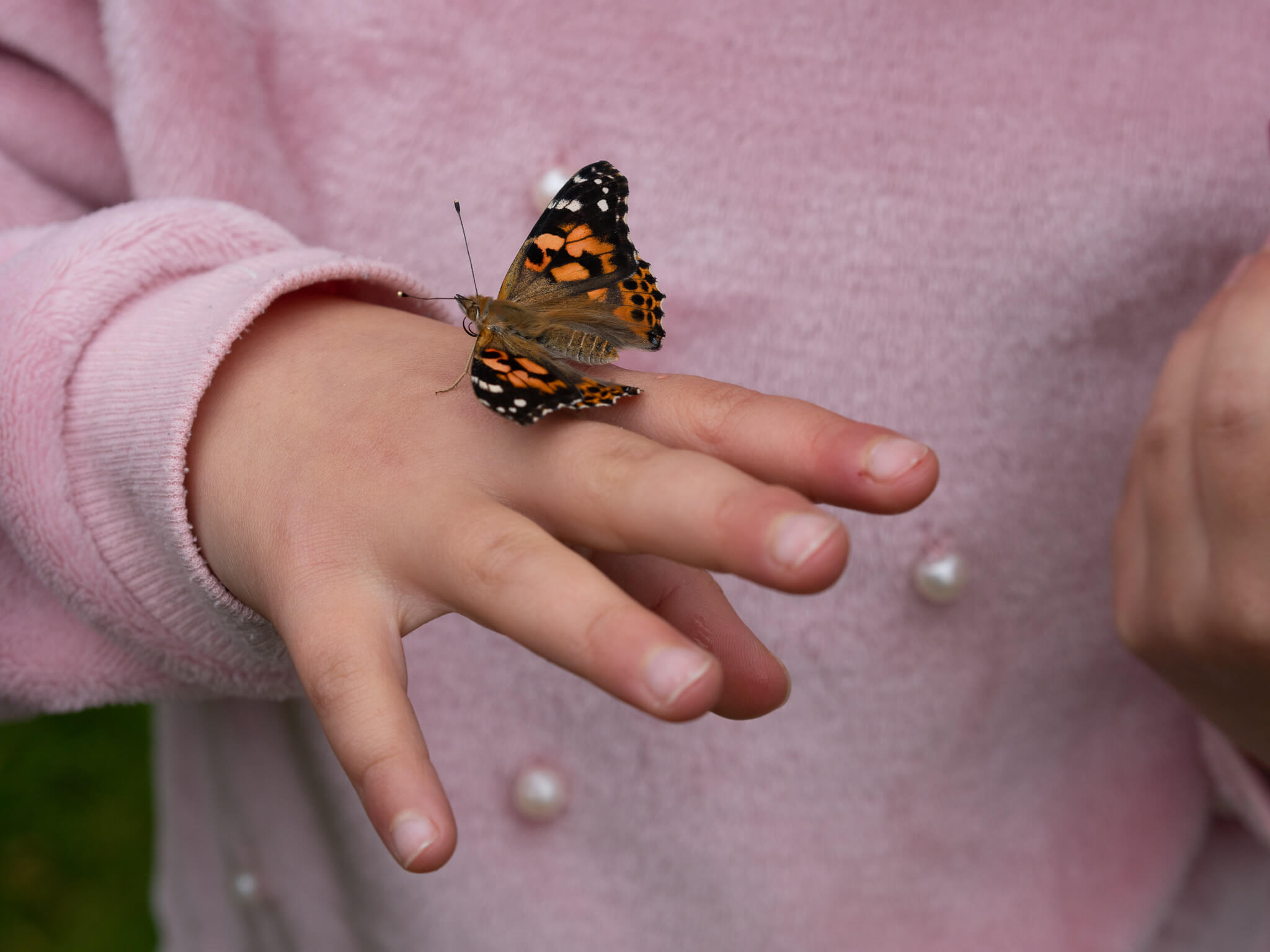 100 Fun and Easy Summer Outdoor Activities for Kids - Thimble and Twig